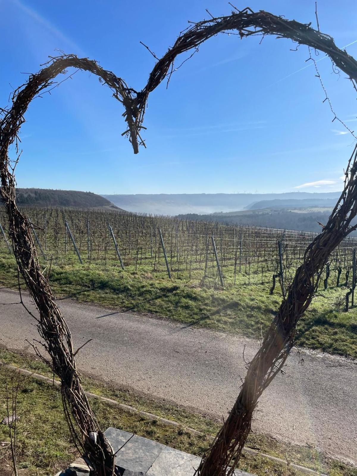 Fewo Waldblick - Urlaub Im Wein & Ferienort 베콘드 외부 사진